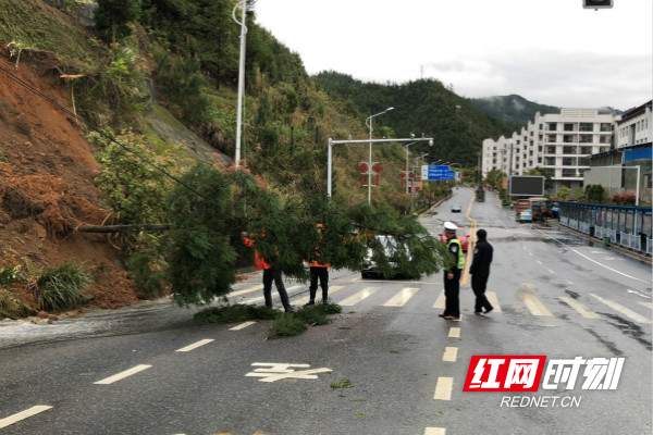 有效预防和遏制道路交通事故,自2019年11月起,桂东县公安局交警大队