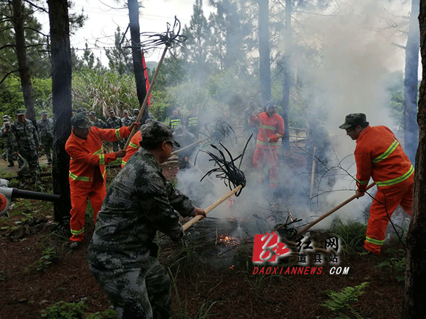 森林防火安全演练.gif