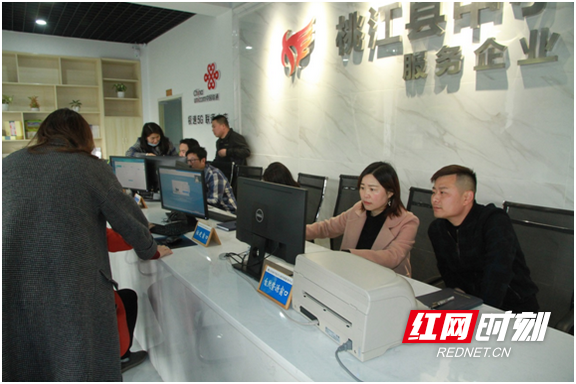 桃江经开区行政审批服务中心工作人员热心为企业办理相关业务。.marked.png