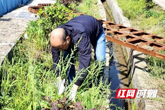 清除水渠边杂草。.marked.jpg