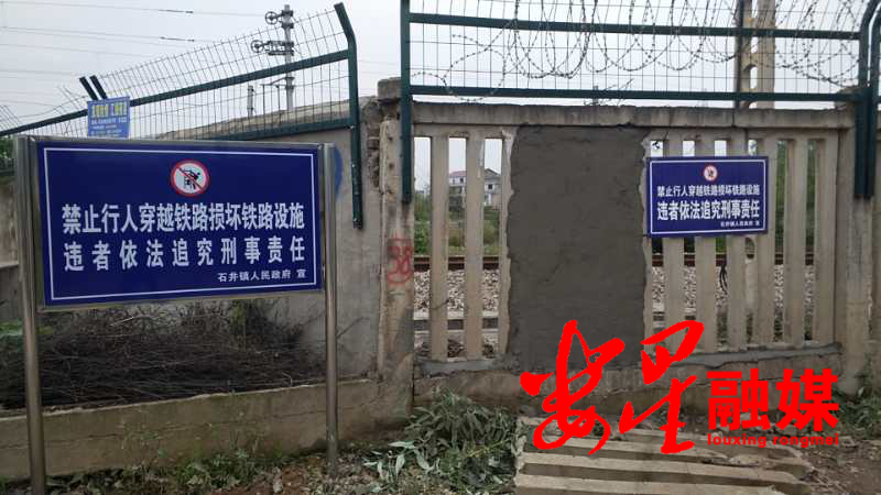 石井.png