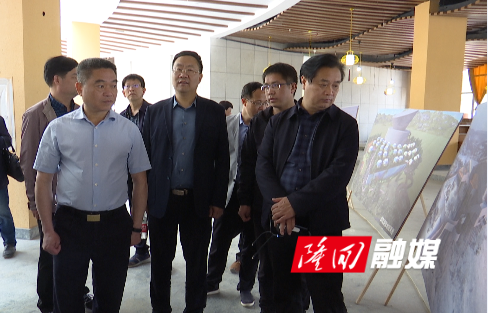 王永红主持召开2020年湖南省夏季乡村文化旅游节书记专题调度会