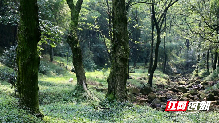 暴风截图202042733798755.jpg 暴风截图202042733798755.jpg