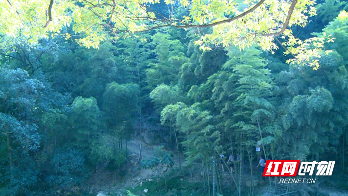 暴风截图202042733794636.jpg 暴风截图202042733794636.jpg