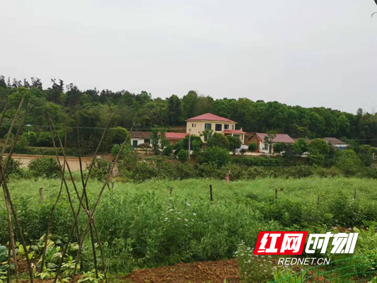 微信图片_20200428095806ggggggg.jpg 微信图片_20200428095806ggggggg.jpg