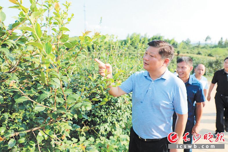 付旭明