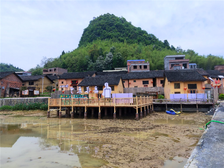 东源村成网红打卡新地标县长来了凸显直播带动效应