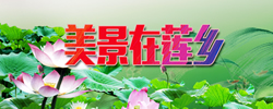 美景在莲乡
