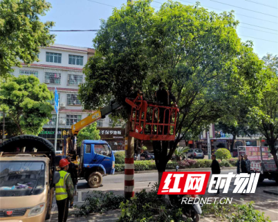 图片36.png