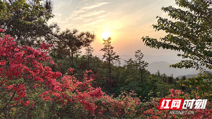 未标题-4.jpg 未标题-4.jpg