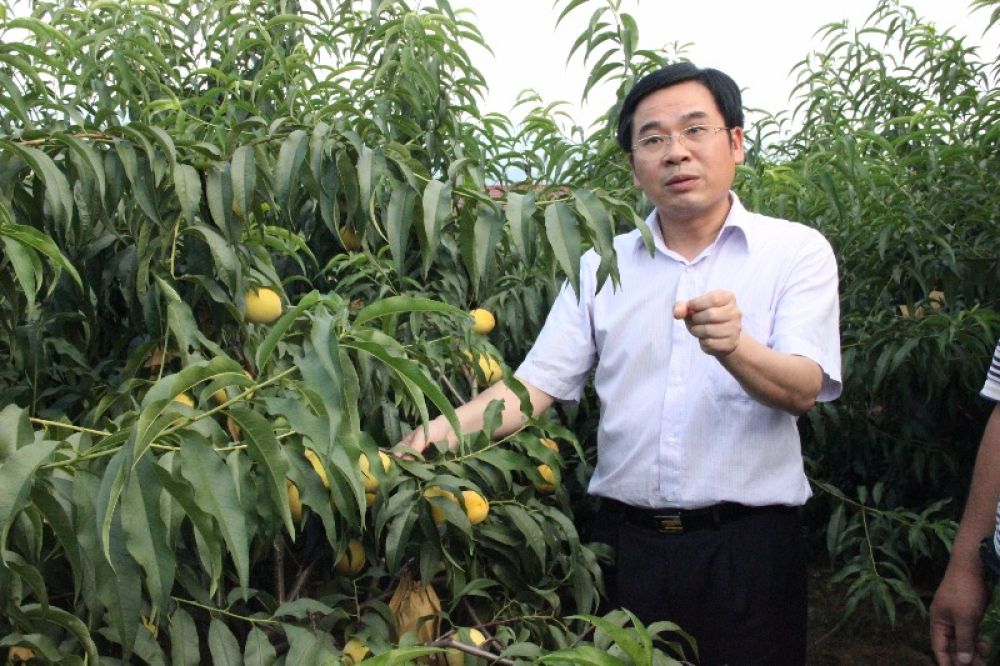 炎陵县有多少人口(3)