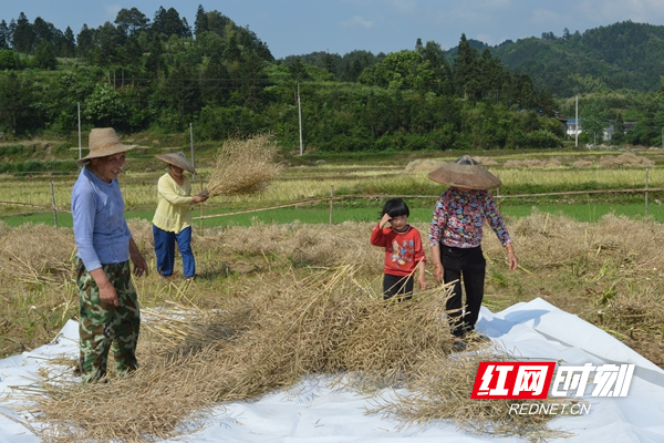 老少齐出动 _副本.jpg