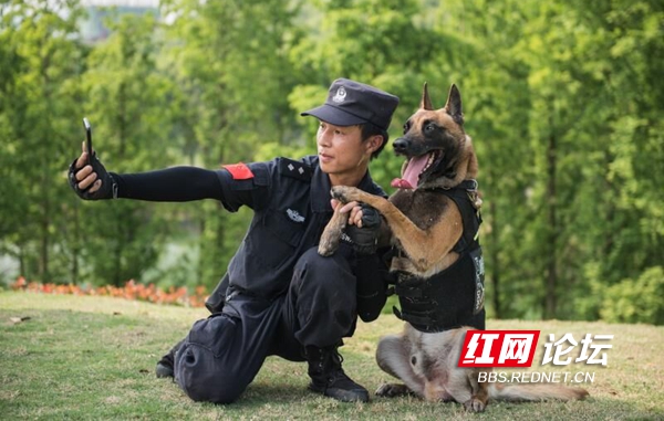 警犬2.jpg