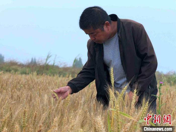 戚建秋专挑选无人愿意打理的贫瘠之地进行耕种。　宋梅 摄