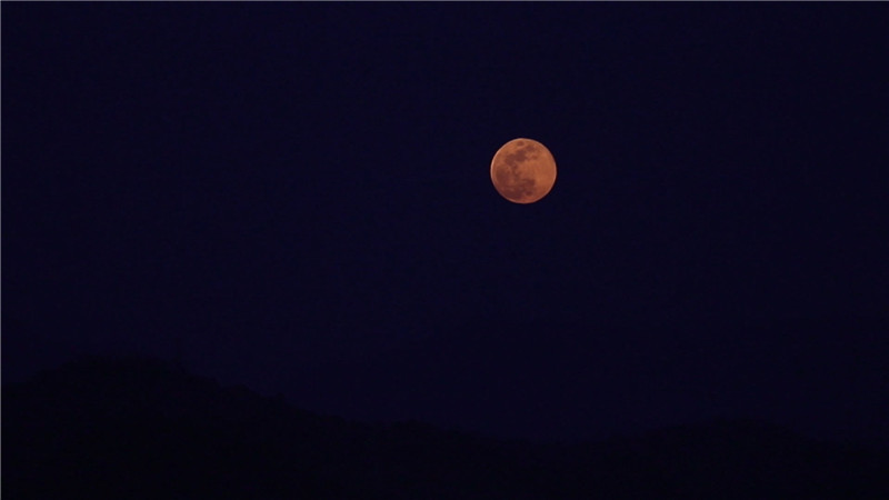鹤城：今年最后一次“超级月亮”惊艳夜空.mp4_20200508_170501.036.jpg