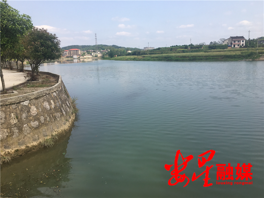 河长3.png