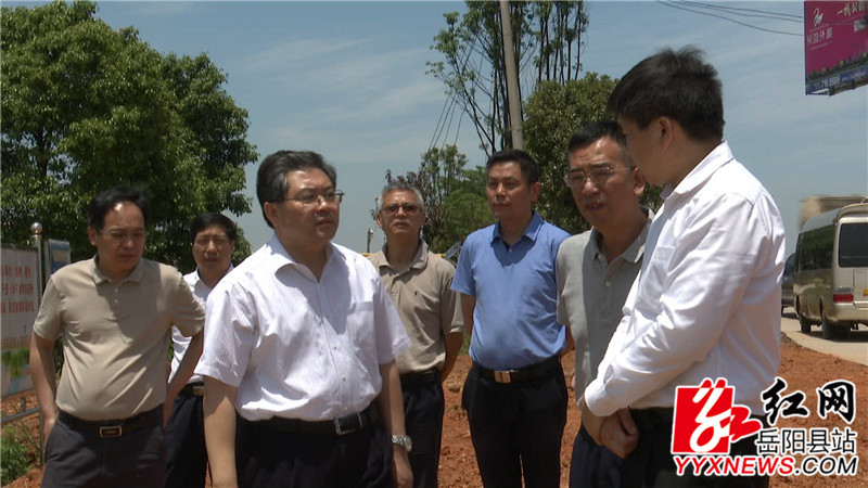 隋忠诚实地察看新墙河防汛备汛情况.jpg