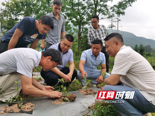 微信图片_20200513104135_副本.jpg