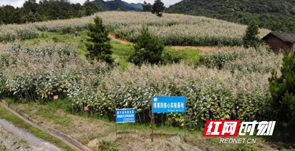 0d44b9f2fadd4db386134618824a110f.jpg 0d44b9f2fadd4db386134618824a110f.jpg