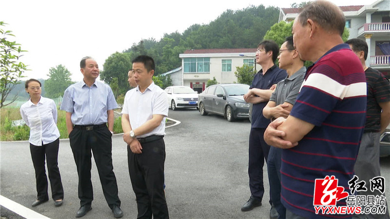 王卫兵现场查看示范线路建设情况_副本.jpg