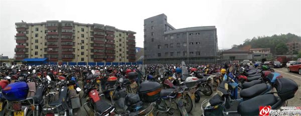 图片7