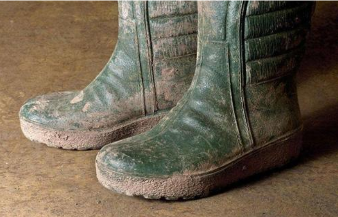 1589497341661779.png image.png