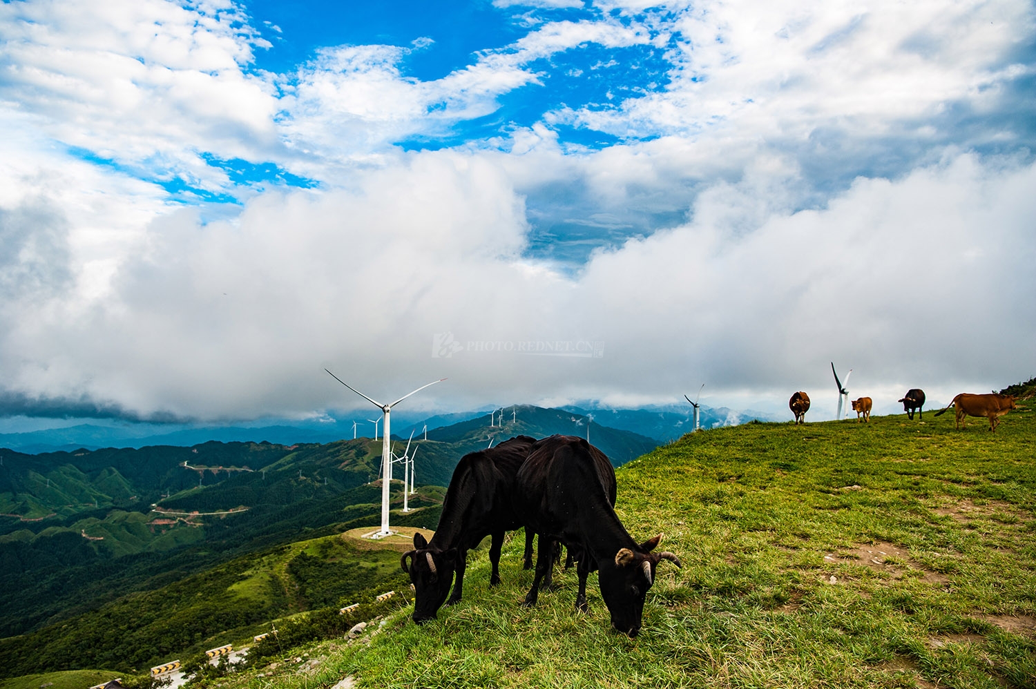 32186_1534306590uTiS.jpg 32186_1534306590uTiS.jpg