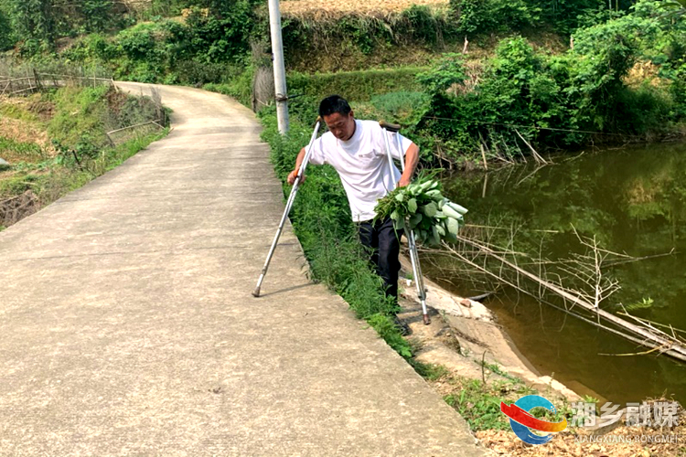 向建荣在割鱼草.jpg 向建荣在割鱼草.jpg