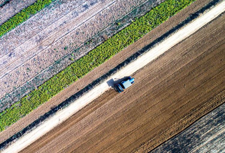风雨无阻向前进!写在全国疫情防控阻击战取得重大战略成果之际