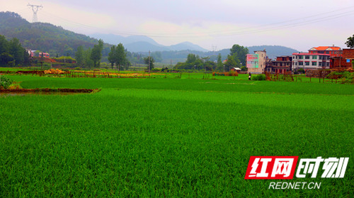 6P7A3594_副本_副本.jpg 6P7A3594_副本_副本.jpg