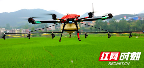 6P7A3528_副本_副本.jpg 6P7A3528_副本_副本.jpg