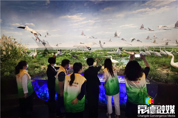 常德名胜展厅内，市民在西洞庭湖国际重要湿地展台拍照。.jpg
