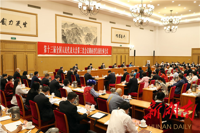 5月21日下午，出席十三届全国人大三次会议的湖南代表团在驻地举行第一次全体会议。.jpg