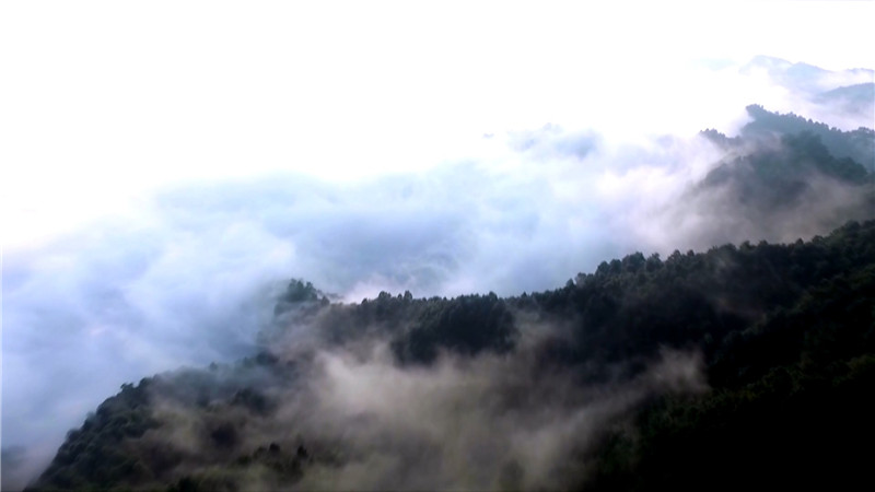 清凉一夏 怀化大峡谷入列2020年怀化市夏季旅游精品线路..mp4_20200521_153728.413.jpg