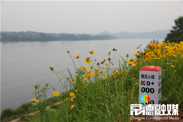 微信图片_202005201737521.jpg