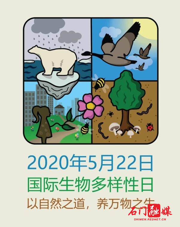 微信图片_20200522115703.jpg 微信图片_20200522115703.jpg