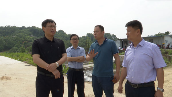 吴跃中沿桃李河开展巡河__云溪新闻网