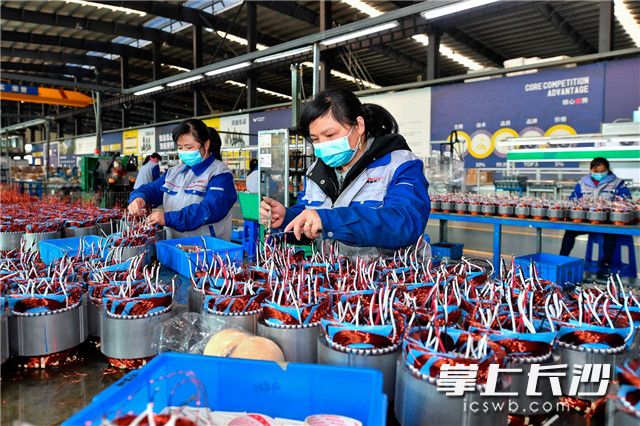 2月19日，万鑫精工生产车间内，戴着口罩的工人们在紧张生产。随着制造企业的相继复工，万鑫精工的减速机订单迎来了爆发式增长。 长沙晚报全媒体记者 王志伟 摄