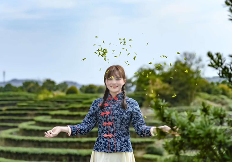 一起来看看湘潭县的大美茶山