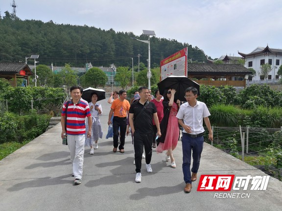 图片5.marked.jpg