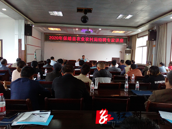 IMG_20200522_105653.jpg IMG_20200522_105653.jpg