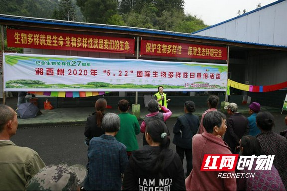 图片4.marked.jpg