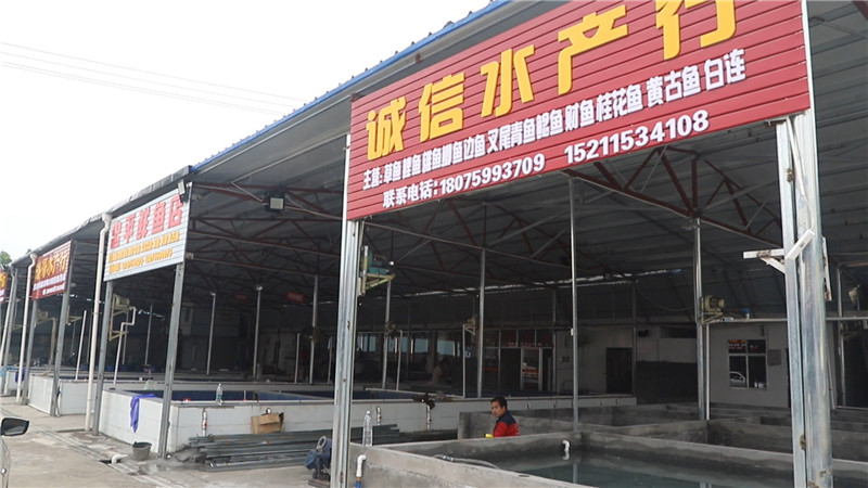 城中街道：开展酒厂巷水产品批发市场集中整治.mp4_20200527_154339.327.jpg
