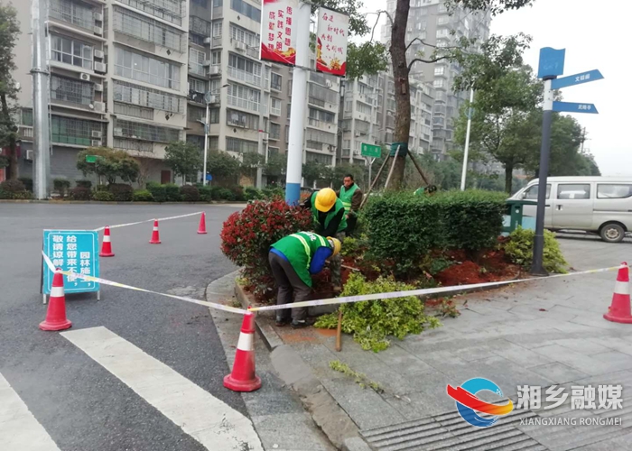 1城管.jpg