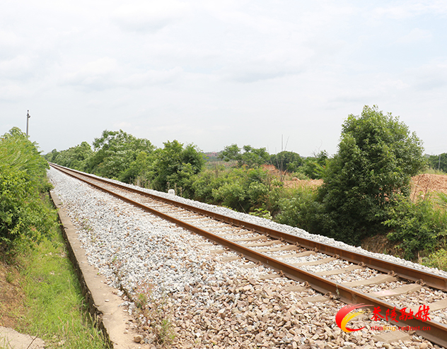 停运近5年 醴茶铁路于29日复开