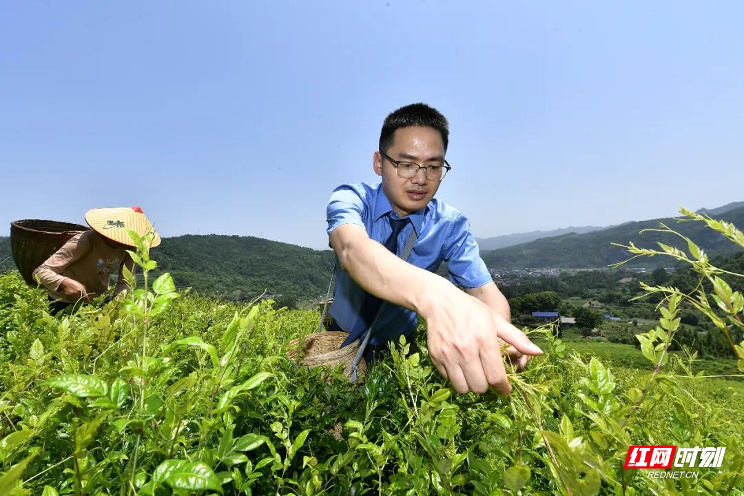 微信图片_20200528083509.jpg