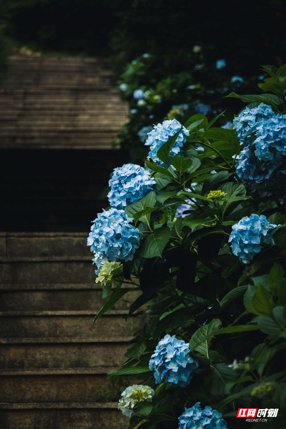 a6.jpg