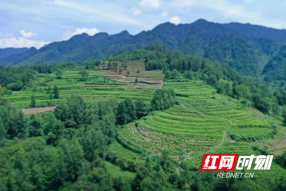 ??8.marked.png ??8.marked.png