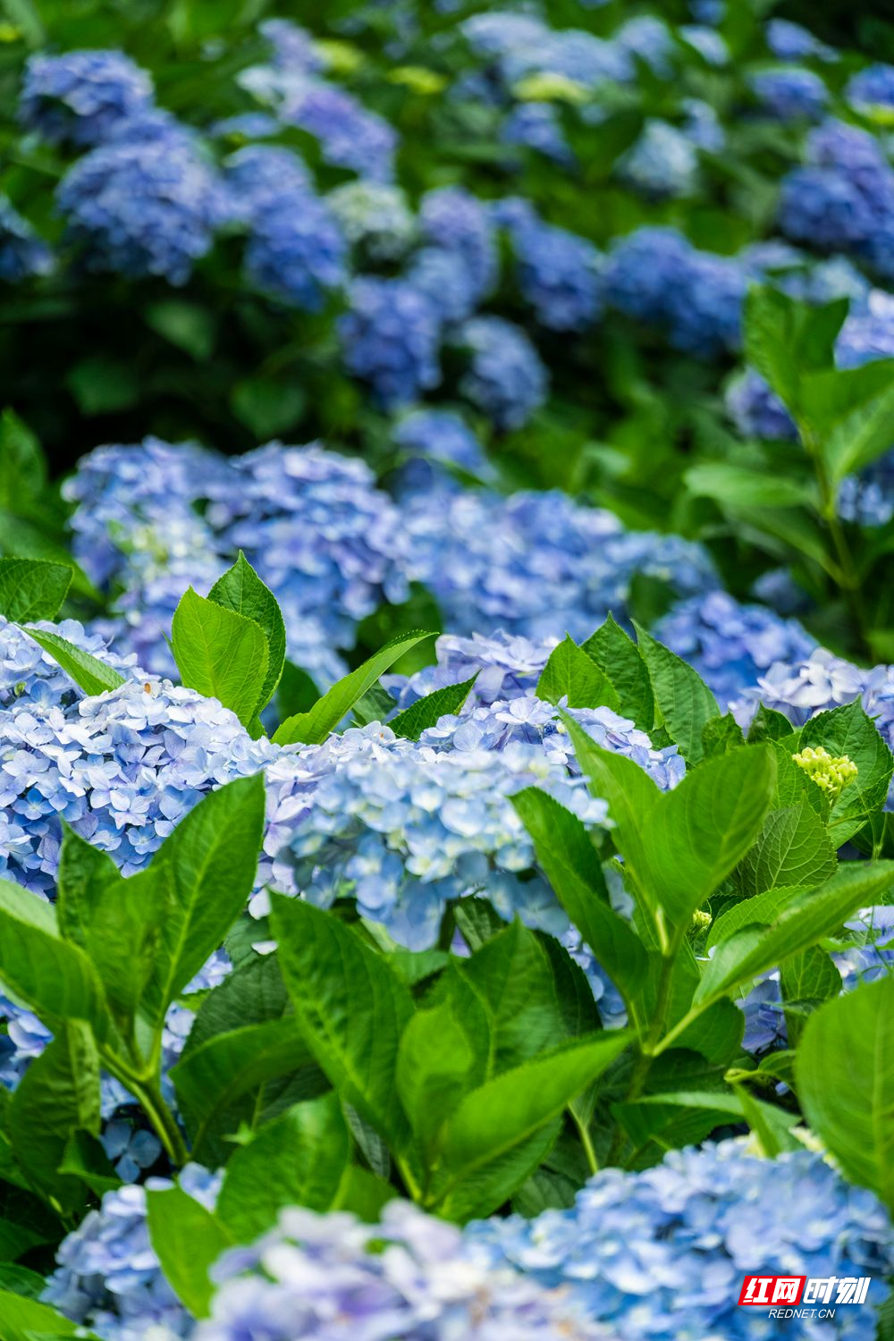 a9.jpg