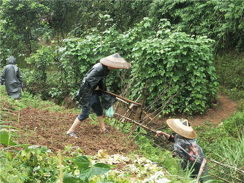 微信图片_20200529165645.jpg